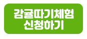 감귤따기체험 신청하기